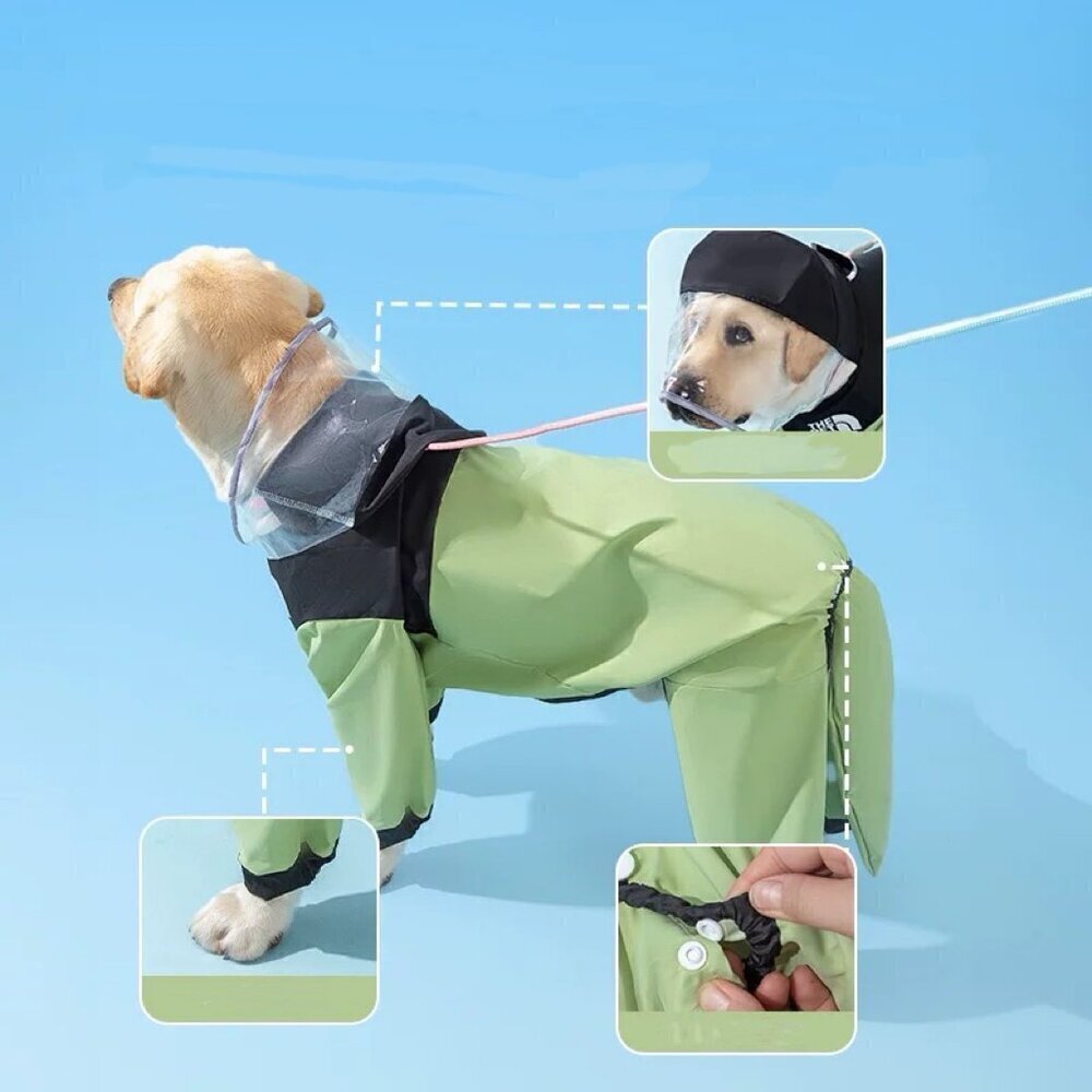 Waterproof dog rain coat blue or green - Picture 4 of 5